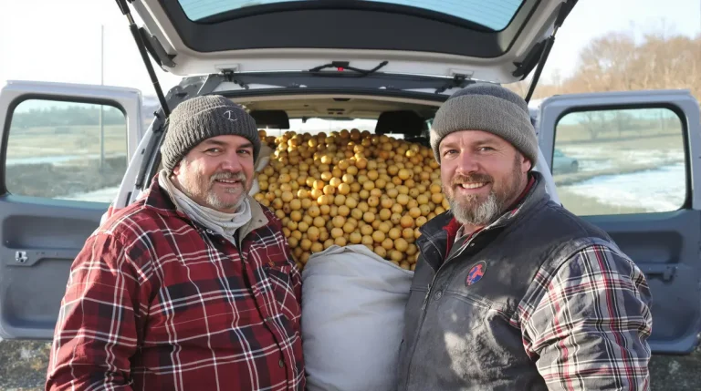 « Venez avec amour, repartez avec des patates » : le bon plan insolite d’un couple d’agriculteurs qui cartonne